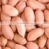 Peanut thumbnail-4