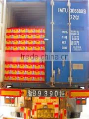 New Orient International Trading Limited company overview - view 3 thumbnail