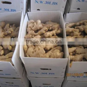 2014fresh Air Dried Ginger thumbnail-5