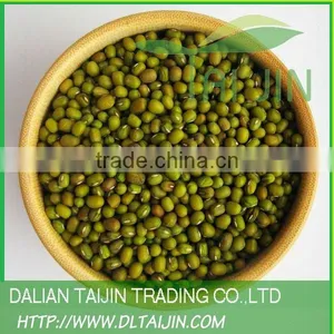 GREEN MUNG BEAN FOR FOOD/GREEN GRAM FOR FOOD thumbnail-1