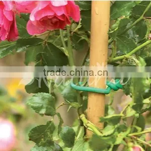 Plant Soft Tie thumbnail-1