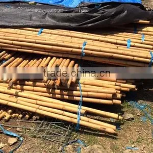 MANAU CANE RATTAN thumbnail-2