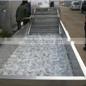 Fruit and Vegetable Washing Machine thumbnail-1