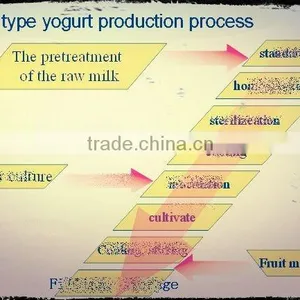Small Scale Yogurt Making Machine thumbnail-1