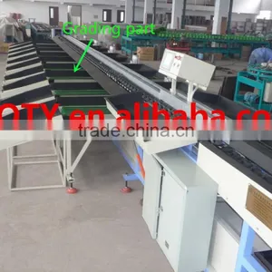 Fruit Washing Waxing Machine/vegetable Sorting Machine thumbnail-2