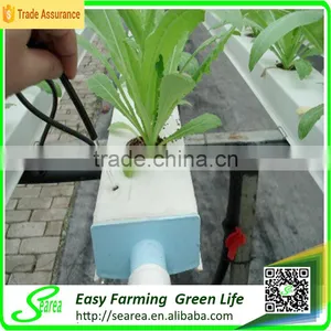 Low Cost Hydroponics Pvc Pipe thumbnail-1