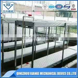 Professional Top Qualityl Hydroponic System Greenhouse thumbnail-3