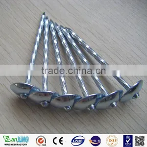 Iron Material and Dome Head Nails Type thumbnail-1