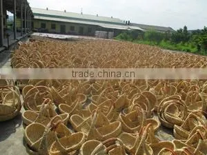 Viet Nam Craft Joint Stock Company company overview - view 1 thumbnail