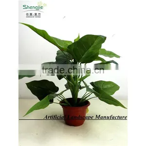 SAS201603 China Supplier Artificial Greenery Plant,Indoor Fake Ornamental Foliage Plant thumbnail-2
