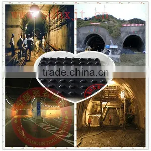 Plastic Dimple Drainage Sheet Used in Tunnel thumbnail-1