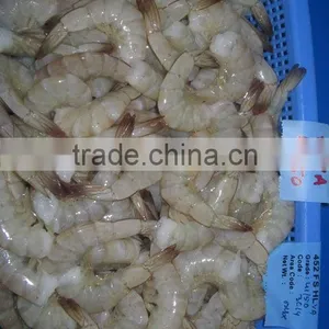 Frozen Shrimps HLSO thumbnail-1