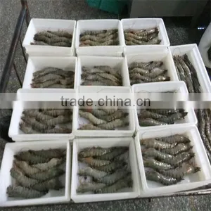 Frozen Cooking Shrimp From Frozen thumbnail-1