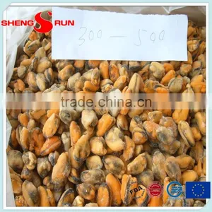 Frozen Boiled Mussel Meat thumbnail-2