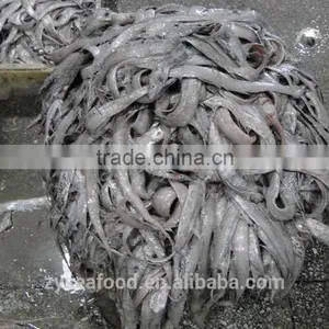 Fish Head Tail Gut thumbnail-3
