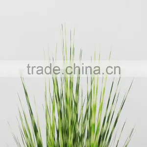 Wholesale Artificial Plants Zebra Onion Grass in Pot thumbnail-3