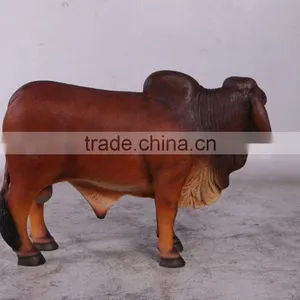 Definitive Brahman Looking Left thumbnail-3