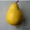 Artificial Vegetable thumbnail-1
