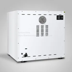 Electrothermal Constant Temperature Incubator Small Laboratory Incubator of Bacteria and Microbial Plants for Germination thumbnail-3
