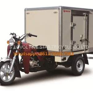 Gasoline Tricycle Cargo Loader Lovol Three Wheeler Mali Ethiopia Ghana Bukina Faso Tanzania Kenya Senegal Togo Benin Nigeira Mauritania Angola Burundi Chad Cameroon C ô te D'Ivoire Gabon Guinea Mozambique Rwanda Congo Uganda Zimbabwe thumbnail-1