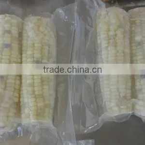 USA Frozen Yellow Sweet Corn From Vietnam thumbnail-1