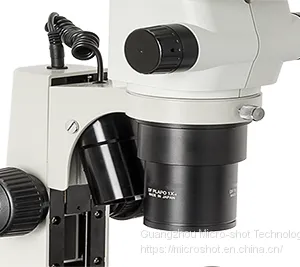 Scientific Grade Stereo-fluorescence Microscope MZX81 thumbnail-5
