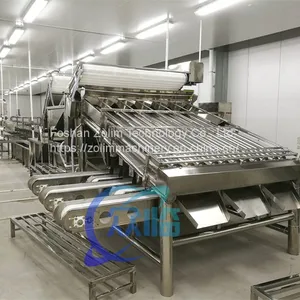 Shrimp Grading Machine With 12 Rollers Shrimp Processing Line China Seafood Processing Machinery thumbnail-4