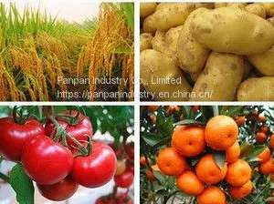 Hot Sale Pesticide Clothianidin Insecticid 50%wdg for Kill Pest Good Acaricide thumbnail-2