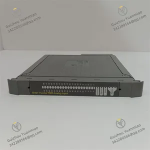 ICS TRIPLEX T8431 Analogue Input Module thumbnail-1