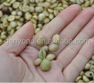 Ivory Coast Wholesale Fresh Coffee Beans Peeler /peeling Cocoa Sheller Machine thumbnail-6