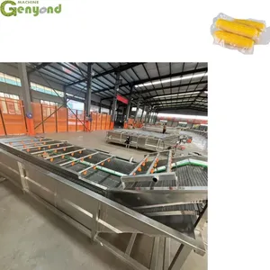 Hot Sale Automatic OEM Customized Corn Washing BLANCHING Processing Production Line thumbnail-4