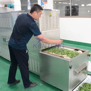 Tunnel Type Dryer Hot Air Mulberry Leaf Lotus Leaf Microwave Sterilization and Drying Machine thumbnail-5