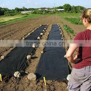 PP Agriculture Non-woven Crop Cover Supplier thumbnail-6
