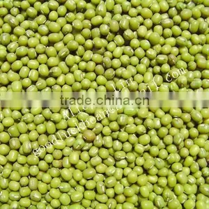 New Crop Peeled Split Green Mung Beans thumbnail-6