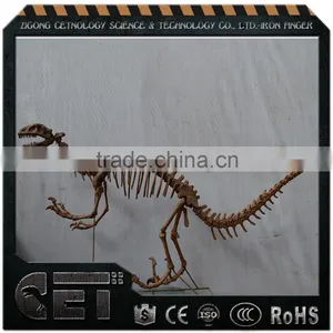 Cetnology-dinosaur Skull Dinosaur Skeleton Sculptures for Party Decoration thumbnail-4