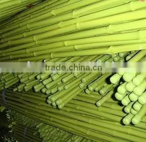 Plastic Coated Bamboo Stick thumbnail-1