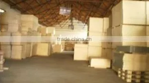 Shanghai Satyr Packing Products Co., Ltd. company overview - view 3 thumbnail