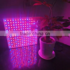 Greenhouse High Power Save Energy Led Grow Light Manufacturer thumbnail-1