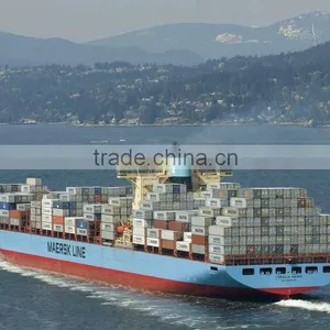 Warehouse Sea Forwarder Freight From Xingang to St Petersburg thumbnail-5