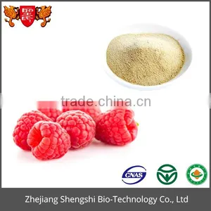 Factory Directly Supply Bilberry Powder thumbnail-1