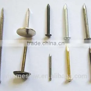 Flat Head Black Common Nail/Stainless Steel Ring Shank Nails With Cheap Price thumbnail-1