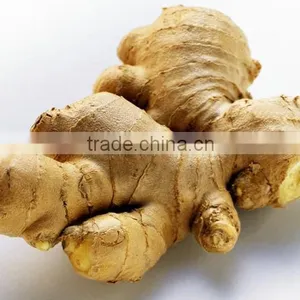 Dried Ginger Whole thumbnail-1