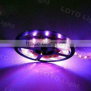 5050 300SMD Waterproof Black LED Light Strip thumbnail-1