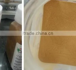 Green Tea Powder 1 kg thumbnail-3