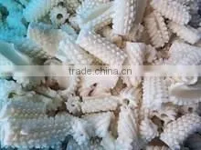 Fish Illex Squid Ring/tube/flower for Sale thumbnail-2