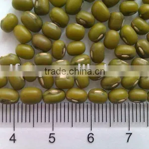 Organic Green Mung Bean( 2010 Crop, Heilongjiang Origin. Hps Quality) thumbnail-1
