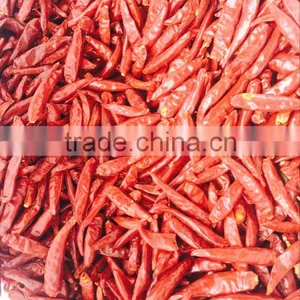 Chilli thumbnail-2