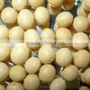 Soybean thumbnail-1