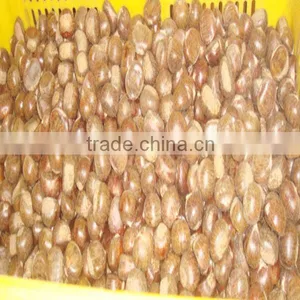 2013fresh Boiled Chestnut Without Shell thumbnail-1