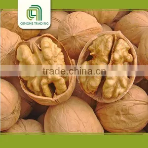 Dried Fruit Walnut and Walnut Kernels Walnut Without Crust for Sale thumbnail-3